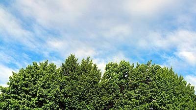早朝散策20220607_DSC_2668_s.jpg