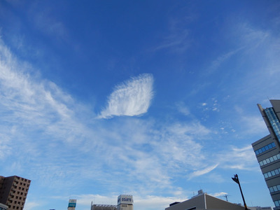 雲形状_藤沢_DSCN7723.jpg